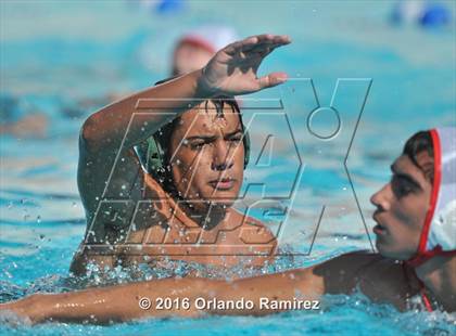 Thumbnail 2 in Olympian @ Hilltop photogallery.