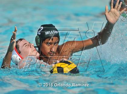 Thumbnail 3 in Olympian @ Hilltop photogallery.