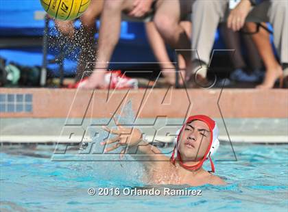 Thumbnail 3 in Olympian @ Hilltop photogallery.