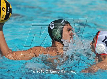 Thumbnail 3 in Olympian @ Hilltop photogallery.