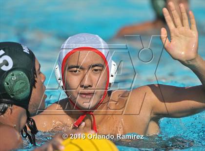 Thumbnail 1 in Olympian @ Hilltop photogallery.