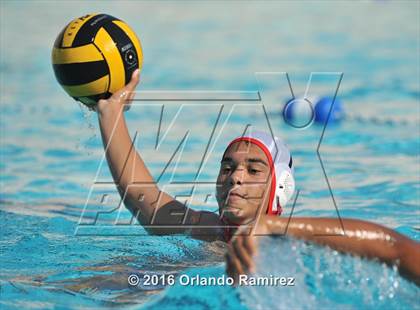 Thumbnail 2 in Olympian @ Hilltop photogallery.