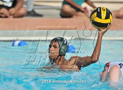 Thumbnail 1 in Olympian @ Hilltop photogallery.