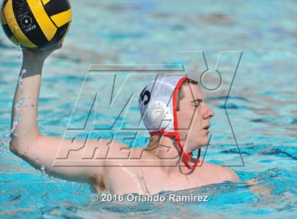 Thumbnail 1 in Olympian @ Hilltop photogallery.