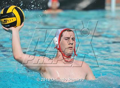 Thumbnail 2 in Olympian @ Hilltop photogallery.