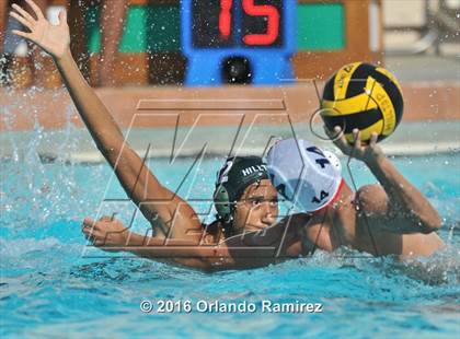 Thumbnail 3 in Olympian @ Hilltop photogallery.