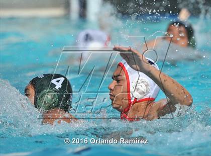 Thumbnail 1 in Olympian @ Hilltop photogallery.