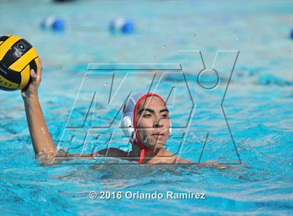 Thumbnail 2 in Olympian @ Hilltop photogallery.