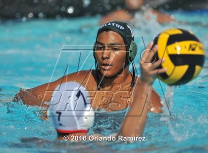 Thumbnail 3 in Olympian @ Hilltop photogallery.