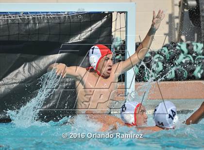 Thumbnail 3 in Olympian @ Hilltop photogallery.