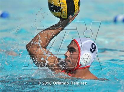 Thumbnail 1 in Olympian @ Hilltop photogallery.