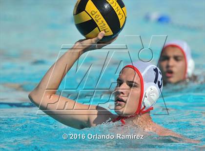 Thumbnail 1 in Olympian @ Hilltop photogallery.
