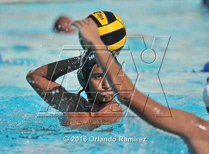 Thumbnail 3 in Olympian @ Hilltop photogallery.
