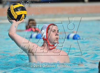 Thumbnail 1 in Olympian @ Hilltop photogallery.