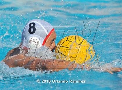Thumbnail 1 in Olympian @ Hilltop photogallery.