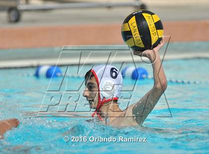 Thumbnail 3 in Olympian @ Hilltop photogallery.