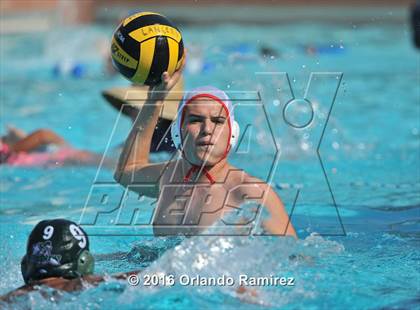 Thumbnail 3 in Olympian @ Hilltop photogallery.