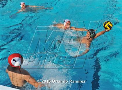 Thumbnail 2 in Olympian @ Hilltop photogallery.