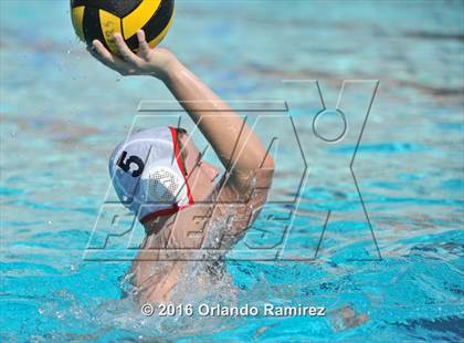 Thumbnail 3 in Olympian @ Hilltop photogallery.