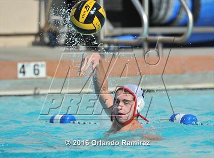 Thumbnail 1 in Olympian @ Hilltop photogallery.