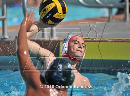 Thumbnail 3 in Olympian @ Hilltop photogallery.