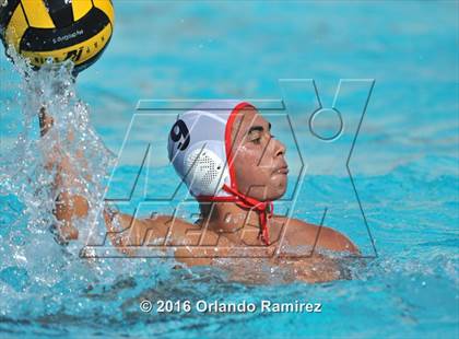 Thumbnail 2 in Olympian @ Hilltop photogallery.
