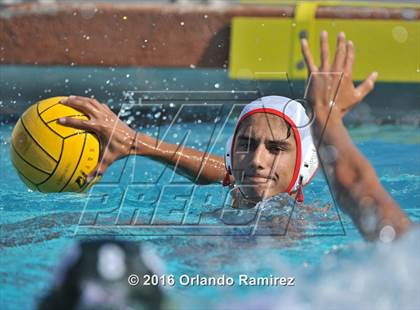 Thumbnail 1 in Olympian @ Hilltop photogallery.