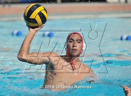 Thumbnail 1 in Olympian @ Hilltop photogallery.