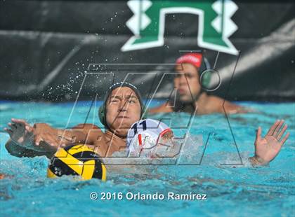 Thumbnail 2 in Olympian @ Hilltop photogallery.