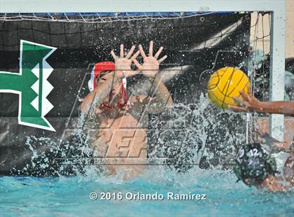 Thumbnail 1 in Olympian @ Hilltop photogallery.