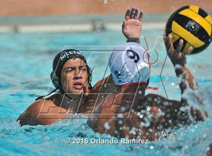 Thumbnail 3 in Olympian @ Hilltop photogallery.
