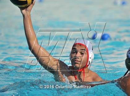 Thumbnail 1 in Olympian @ Hilltop photogallery.