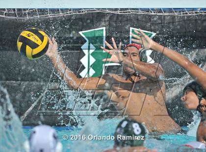 Thumbnail 1 in Olympian @ Hilltop photogallery.