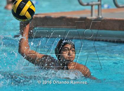 Thumbnail 3 in Olympian @ Hilltop photogallery.