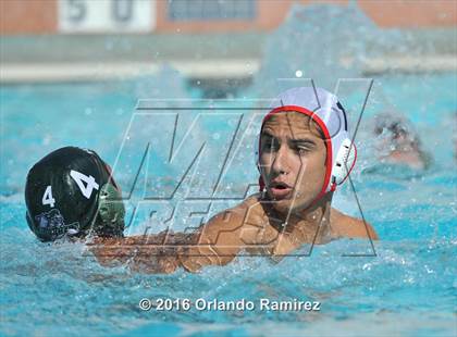 Thumbnail 1 in Olympian @ Hilltop photogallery.