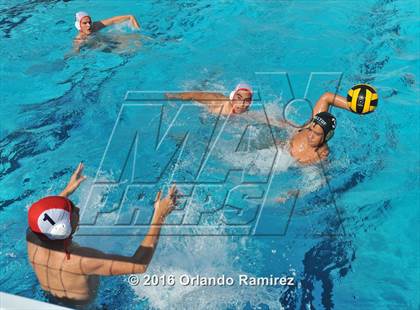 Thumbnail 3 in Olympian @ Hilltop photogallery.