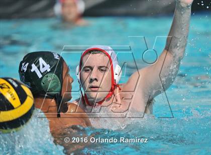 Thumbnail 1 in Olympian @ Hilltop photogallery.
