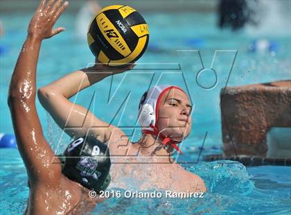 Thumbnail 1 in Olympian @ Hilltop photogallery.