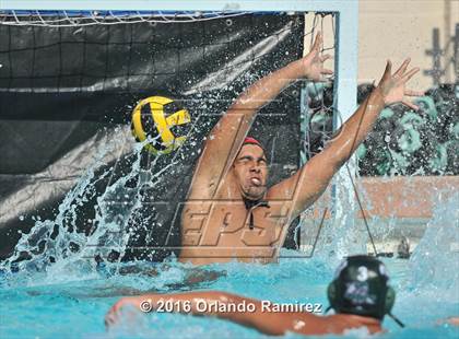 Thumbnail 3 in Olympian @ Hilltop photogallery.