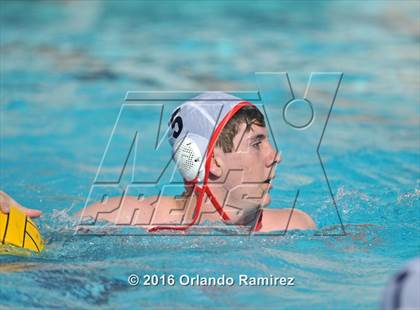 Thumbnail 2 in Olympian @ Hilltop photogallery.