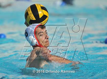 Thumbnail 2 in Olympian @ Hilltop photogallery.