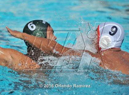 Thumbnail 2 in Olympian @ Hilltop photogallery.