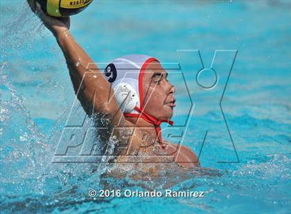 Thumbnail 3 in Olympian @ Hilltop photogallery.