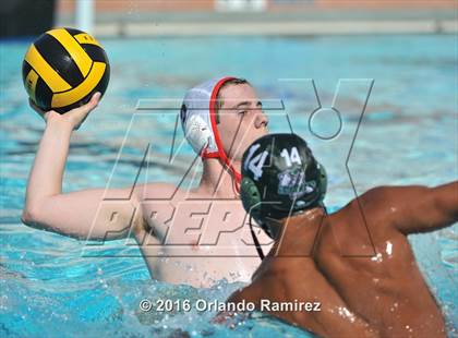 Thumbnail 3 in Olympian @ Hilltop photogallery.
