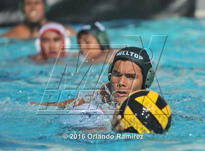 Thumbnail 3 in Olympian @ Hilltop photogallery.