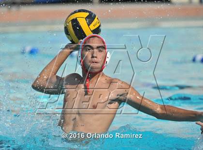 Thumbnail 3 in Olympian @ Hilltop photogallery.
