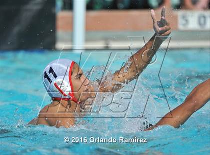 Thumbnail 2 in Olympian @ Hilltop photogallery.