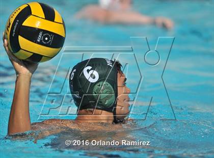 Thumbnail 3 in Olympian @ Hilltop photogallery.
