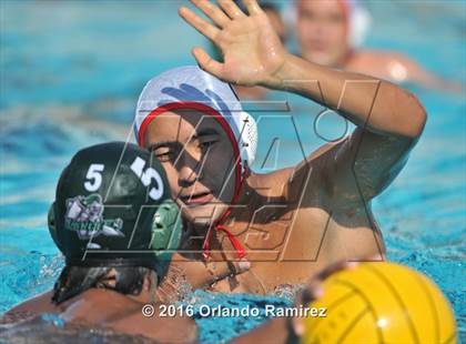 Thumbnail 1 in Olympian @ Hilltop photogallery.