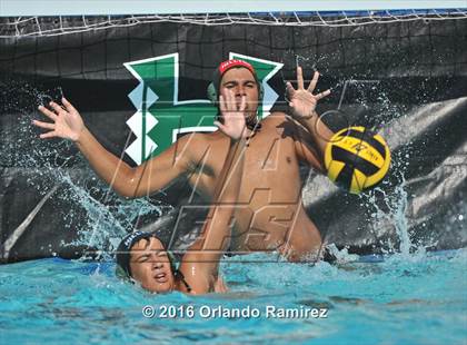 Thumbnail 2 in Olympian @ Hilltop photogallery.